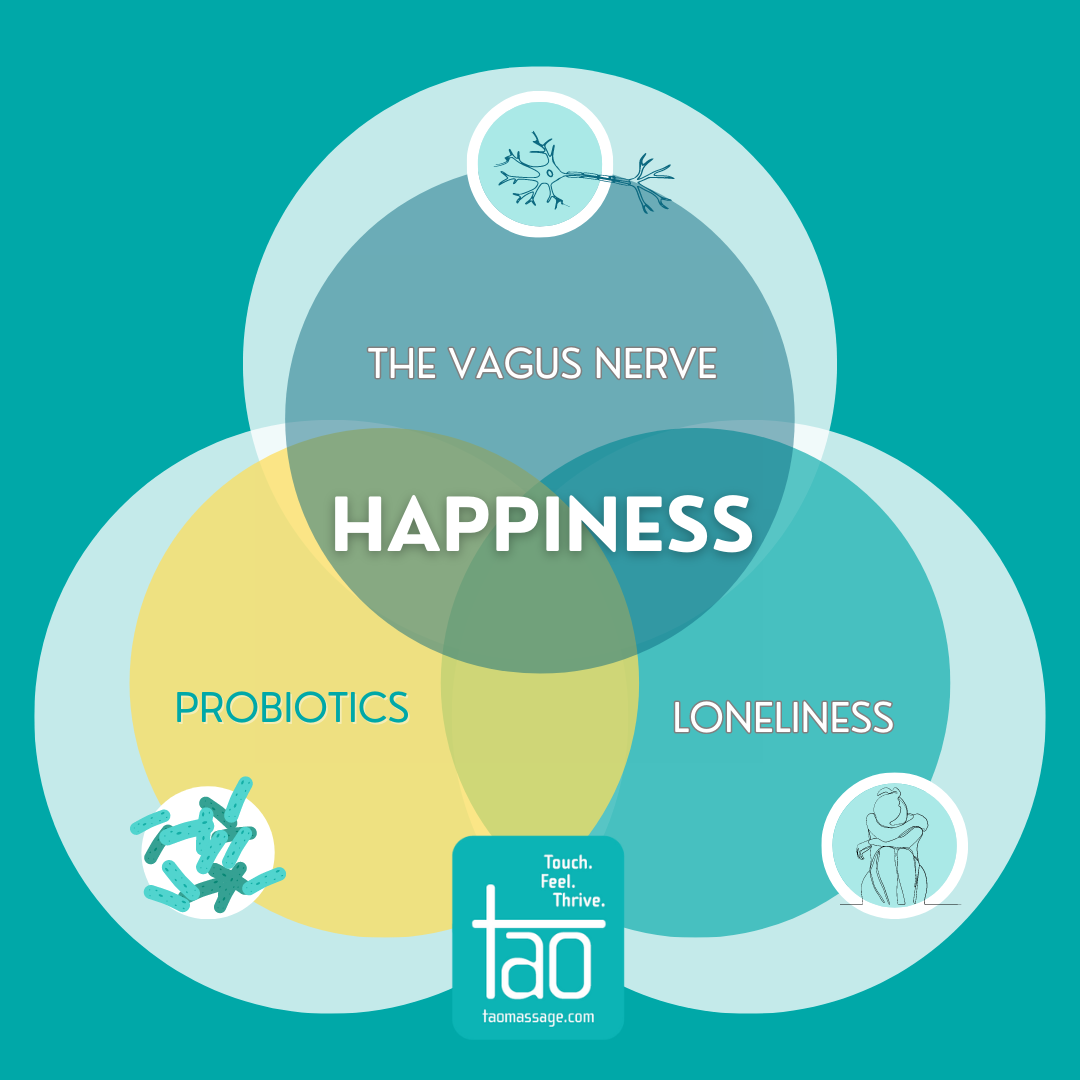 Happiness linked to probiotics loneliness and the vagus nerve